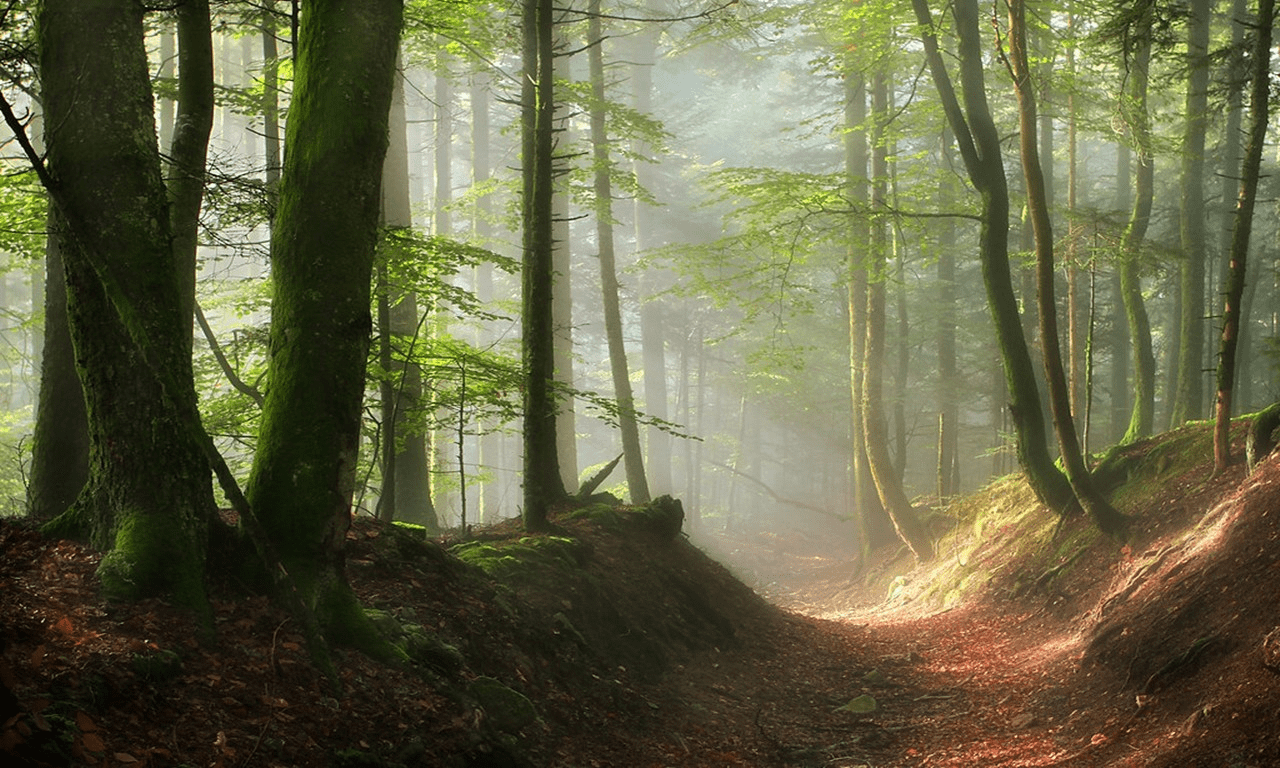 pathway
